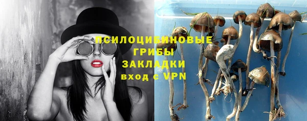 скорость Алексеевка