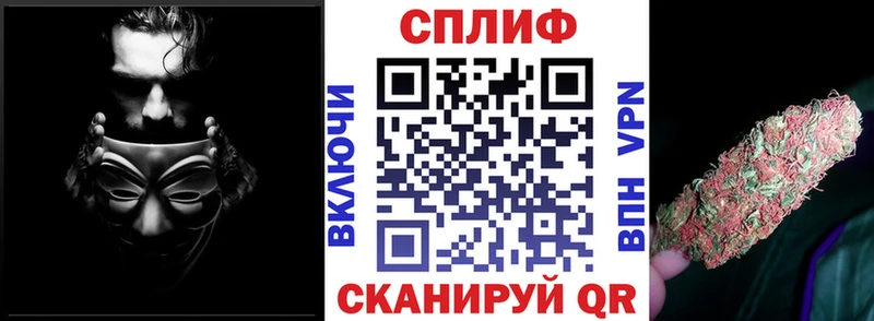 Канабис сатива  Бологое 
